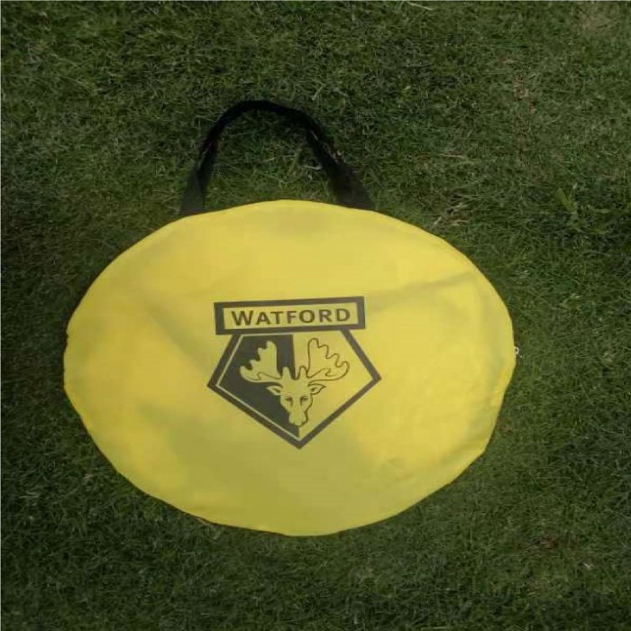 FOOTBALL GOALS AND SKILL SET