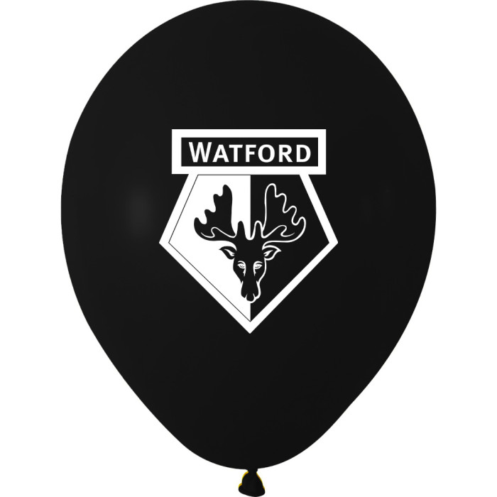 30 PIECE BALLOON PACK