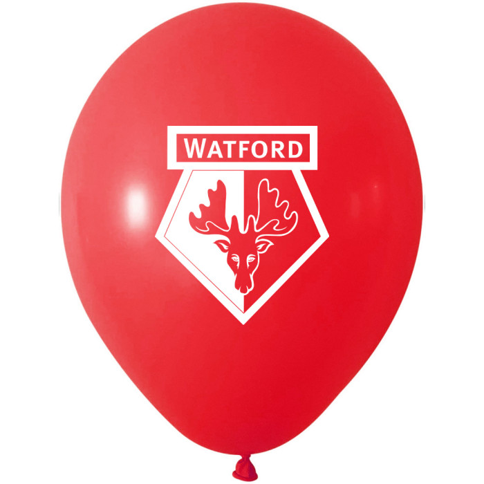 30 PIECE BALLOON PACK