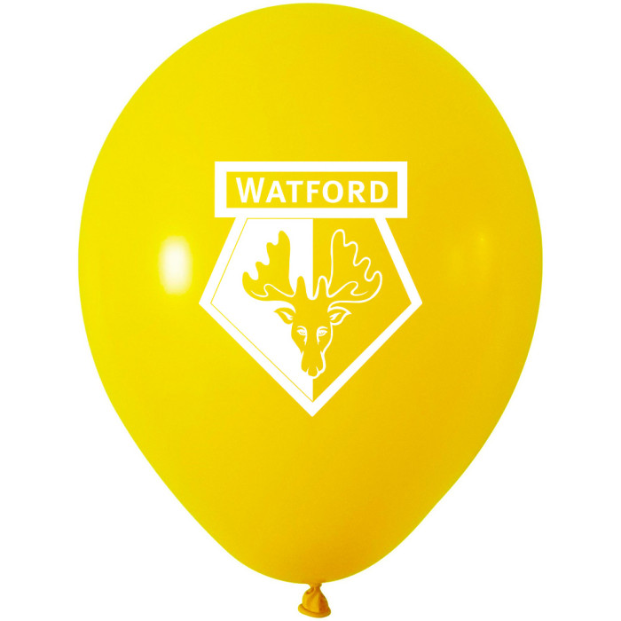 30 PIECE BALLOON PACK