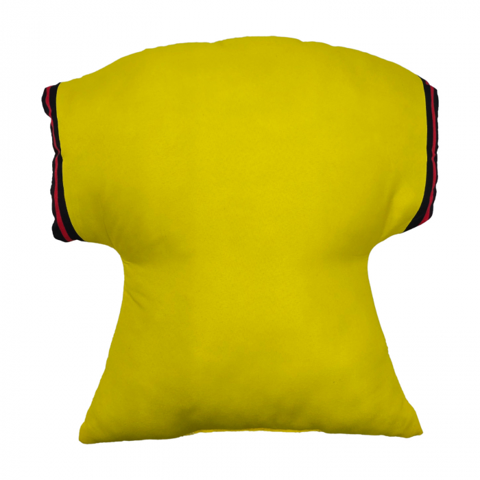 SHIRT SHAPED CUSHION