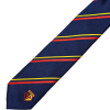 NAVY STIPED TIE