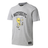 HAPPY HORNET GREY TEE