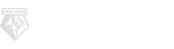 The Hornets Shop Logo