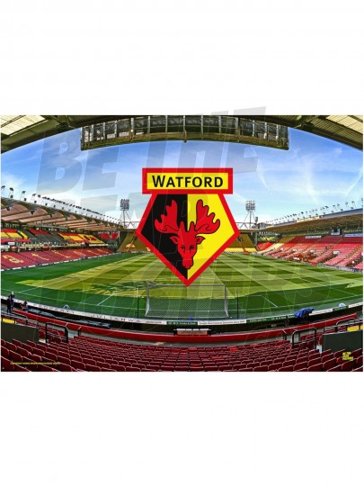 VICARAGE ROAD 3D Stadium Puzzle Watford F.C 