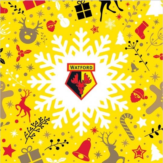 CHRISTMAS SNOWFLAKE CARD