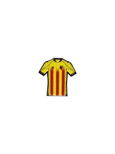 Pin's Insigne Watford Cadeaux Pour Les Fans De Football
