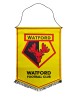 LARGE ESTABLISHED PENNANT