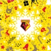 CHRISTMAS SNOWFLAKE CARD