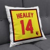 HEALEY PLAYER CUSHION