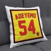 ADEYEMO PLAYER CUSHION