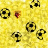 LOTSA FOOTBALLS CARD