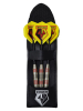 DARTS SET