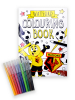 COLOURING BOOK WITH PENS