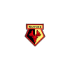 WATFORD CREST PIN BADGE
