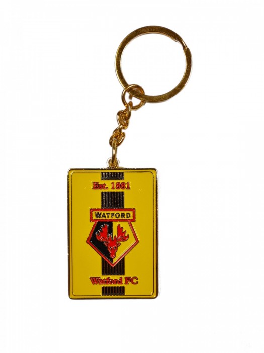 RETRO PLAQUE KEYRING