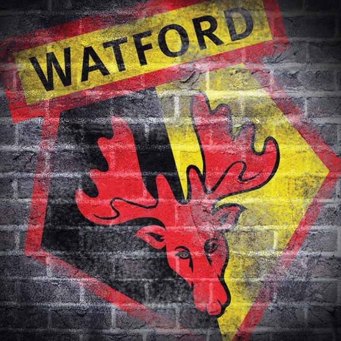 GRUNGE WALL CREST BIRTHDAY CARD GRUNGE WALL CREST BIRTHDAY CARD