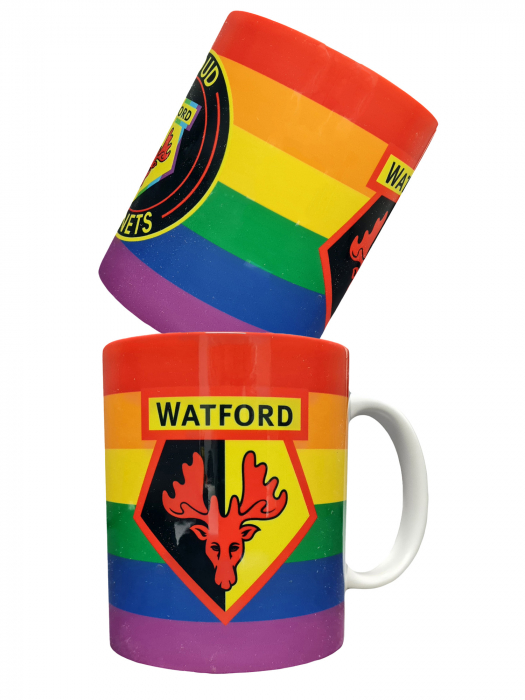PROUD HORNETS RAINBOW MUG PROUD HORNETS RAINBOW MUG