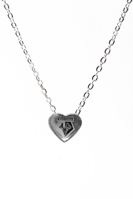 STAINLESS HEART NECKLACE AND CHAIN