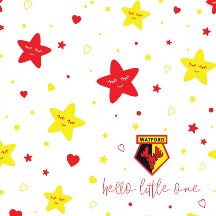 LITTLE ONES STARS CARD