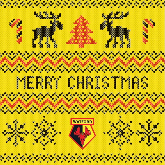 CHRISTMAS JUMPER CARD