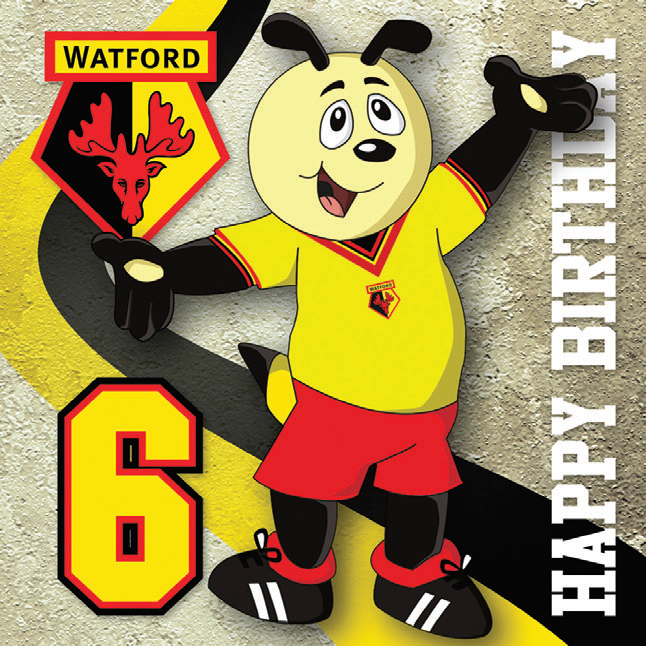 HARRY 6 TODAY CARD