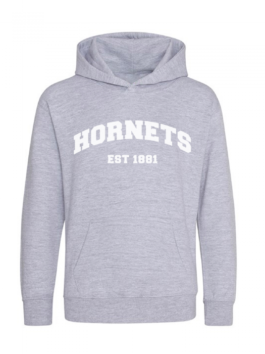 JUNIOR COLLEGIATE GREY HOODIE