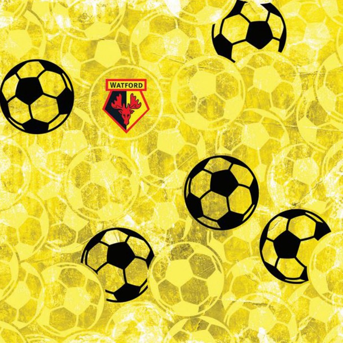 LOTSA FOOTBALLS CARD LOTSA FOOTBALLS CARD