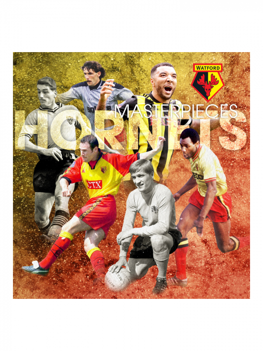 WATFORD MASTERPIECES BOOK