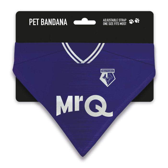 24/25 THIRD KIT PET BANDANA