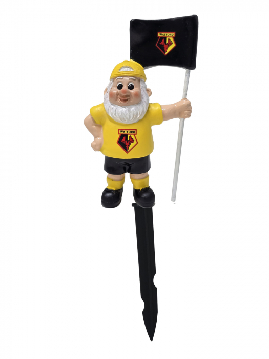 ROAMING LITTLE GNOME