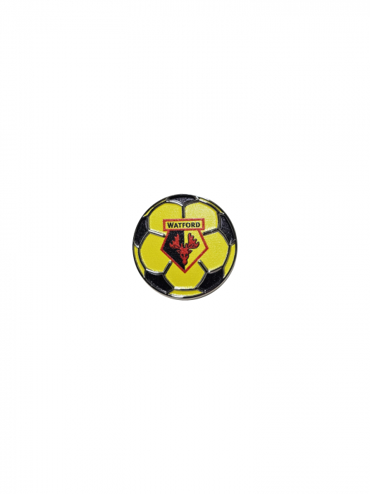 FOOTBALL CREST PIN BADGE