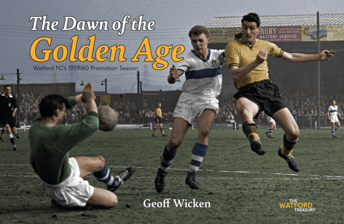 THE DAWN OF THE GOLDEN AGE BOOK