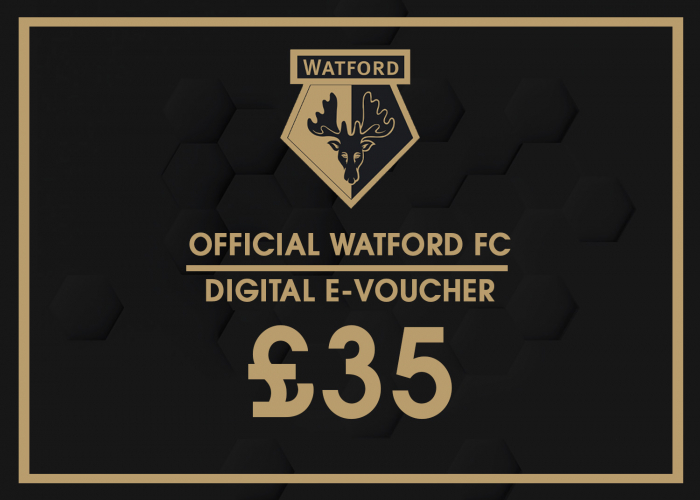 £35 Hornets Shop E-Voucher