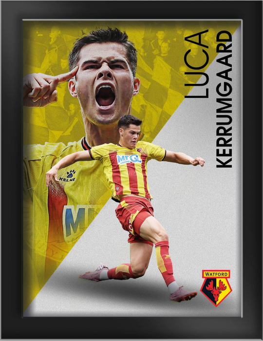 LUCA KJERRUMGAARD FRAMED PRINT 8 X 6