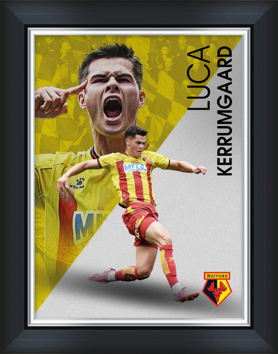 LUCA KJERRUMGAARD FRAMED PRINT 16 X 12