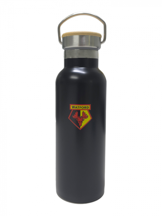 500ml INSULATED WATER BOTTLE