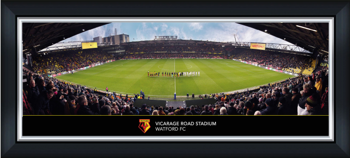Panoramic Stadium Line Up Framed Print - 30 Inch