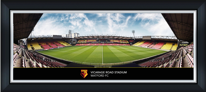 Panoramic Stadium Framed Print - 30 Inch