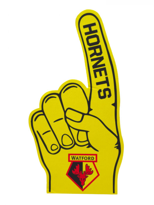 FOAM FINGER